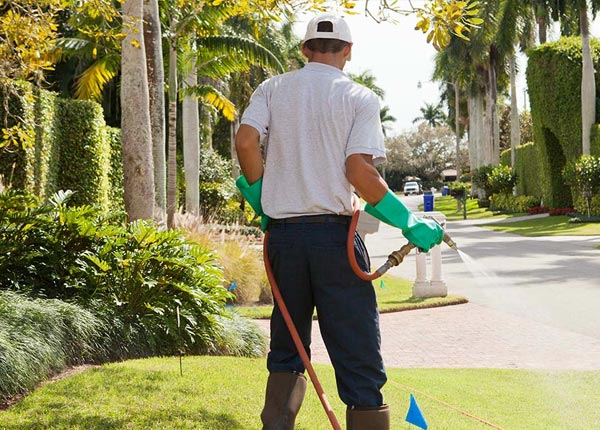 About Silver Lake WI Pest Control